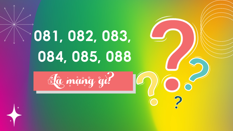 Các đầu số 081, 082, 083, 084, 085, 088 là mạng gì?